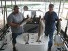 (08/08/2015) - Nice Striped Bass